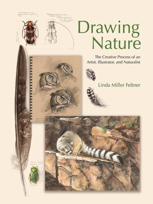 cover image of Drawing Nature